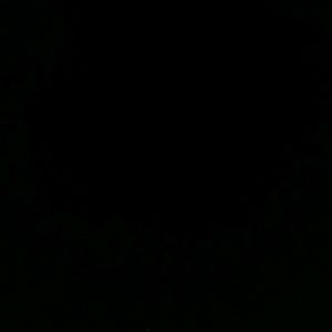 Meet your Posher, Stephen